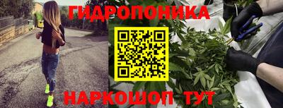 спайс Кулебаки