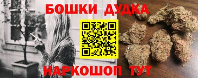стафф Лесосибирск