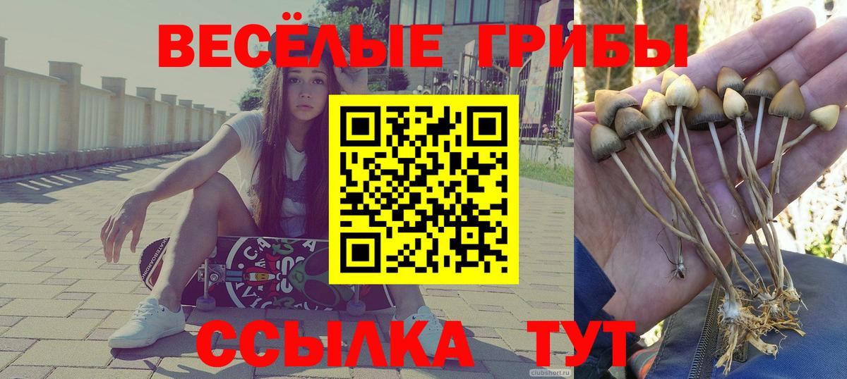 Галлюциногенные грибы GOLDEN TEACHER  Галлюциногенные грибы Magic Shrooms  Вход с VPN  Красноармейск 